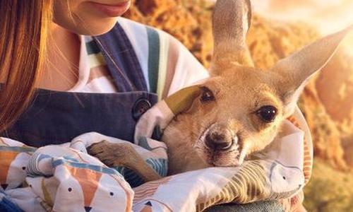 Kangaroo poster